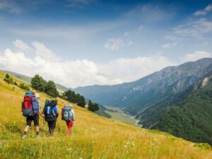Read more about the article Our Favourite Hiking Trails